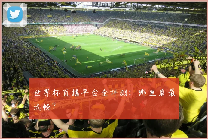 世界杯直播平台全评测：哪里看最流畅？